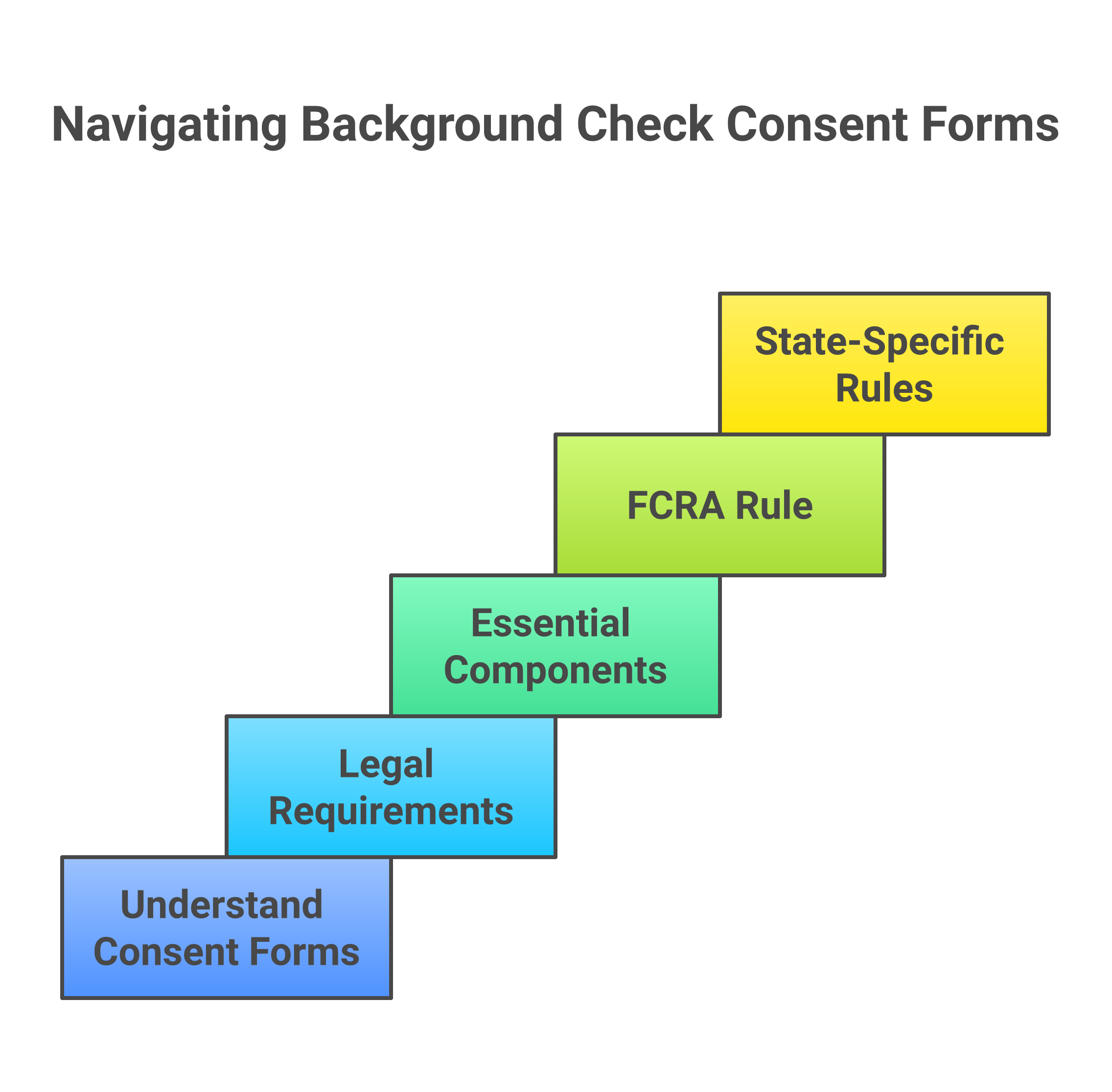 Background Check Consent Form Process Infographic